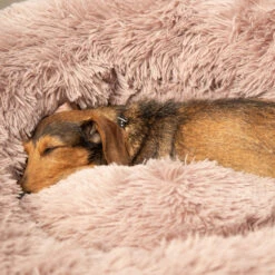 Beeztees Yali Plüsch-Donut-Bett -Myd Pet Geschaft beeztees yali pluche donutmand 216351 1000 none