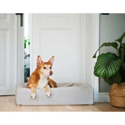 Bia Skanor Bezug -Myd Pet Geschaft bia skanor hoes 224419 1000 none