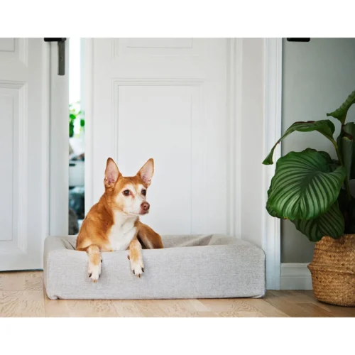 Bia Skanor Bezug -Myd Pet Geschaft bia skanor hoes 224419 1000 none