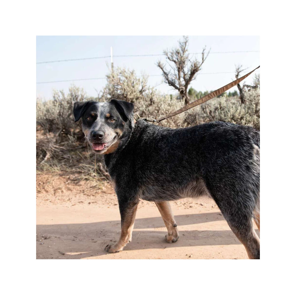 Carhartt Journeyman Leash 3 Carhartt Journeyman Leash – Bild 3