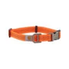 Carhartt Tradesman Hundehalsband -Myd Pet Geschaft carhartt tradesman dog collar oranje l 113239 0500 none