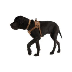 Carhartt Work Dog Harness 7 Carhartt Work Dog Harness -Myd Pet Geschaft carhartt work dog harness 186805 1000 none