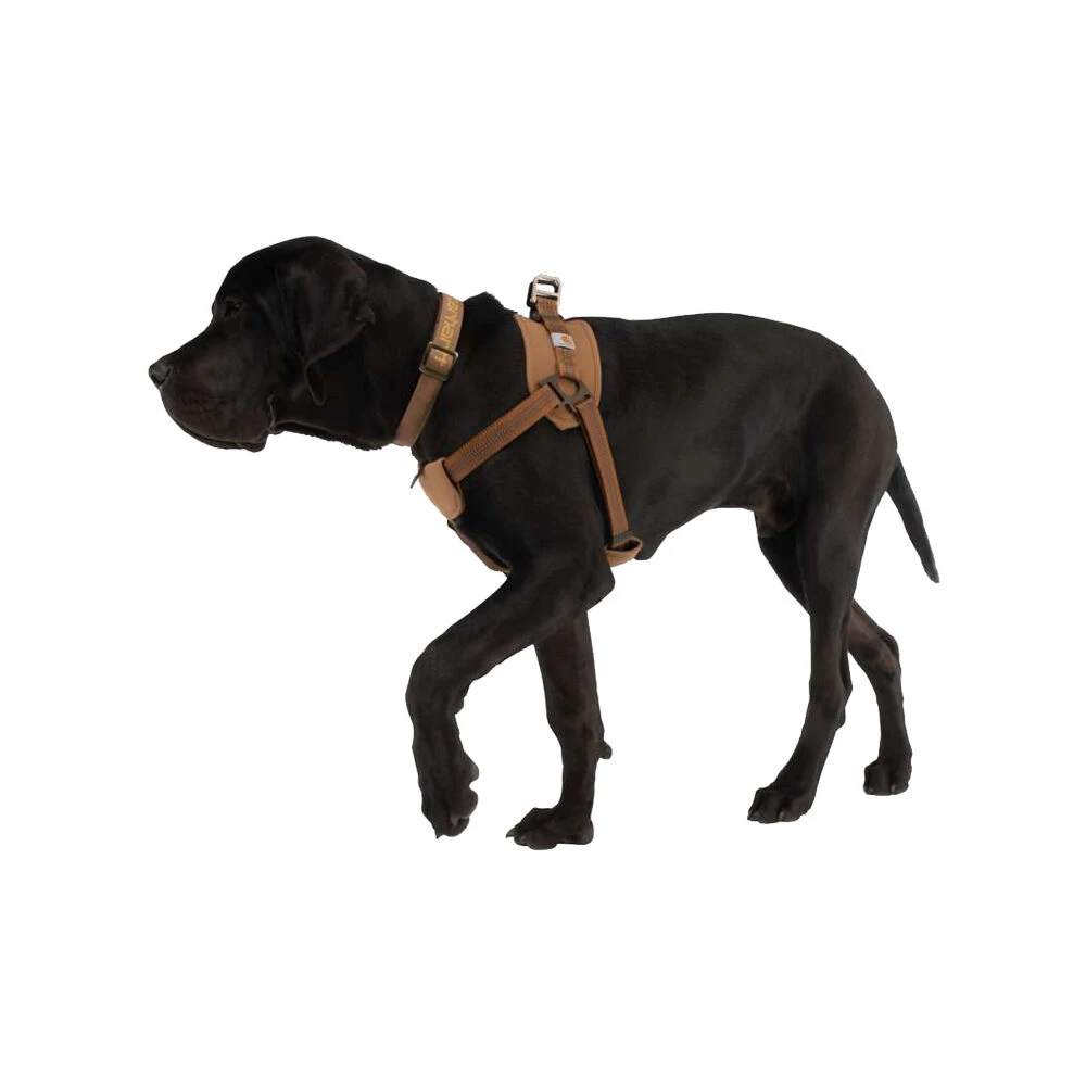 Carhartt Work Dog Harness 3 Carhartt Work Dog Harness – Bild 3