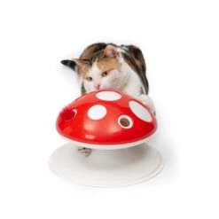 Catit Senses 2.0 Pilz-Katzenspielzeug -Myd Pet Geschaft catit senses 20 mushroom kattenspeelgoed 220031 0500 none