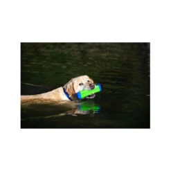 Chuckit! Amphibious Bumper -Myd Pet Geschaft chuckit amphibious bumper 89400 0500 none