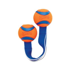 Chuckit! Ultra Duo Tug -Myd Pet Geschaft chuckit ultra duo tug 122951 0500 none