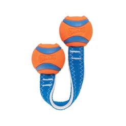 Chuckit! Ultra Duo Tug -Myd Pet Geschaft chuckit ultra duo tug 122954 0500 none