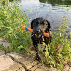 Chuckit! Ultra Fetch Stick -Myd Pet Geschaft chuckit ultra fetch stick 165595 0500 none