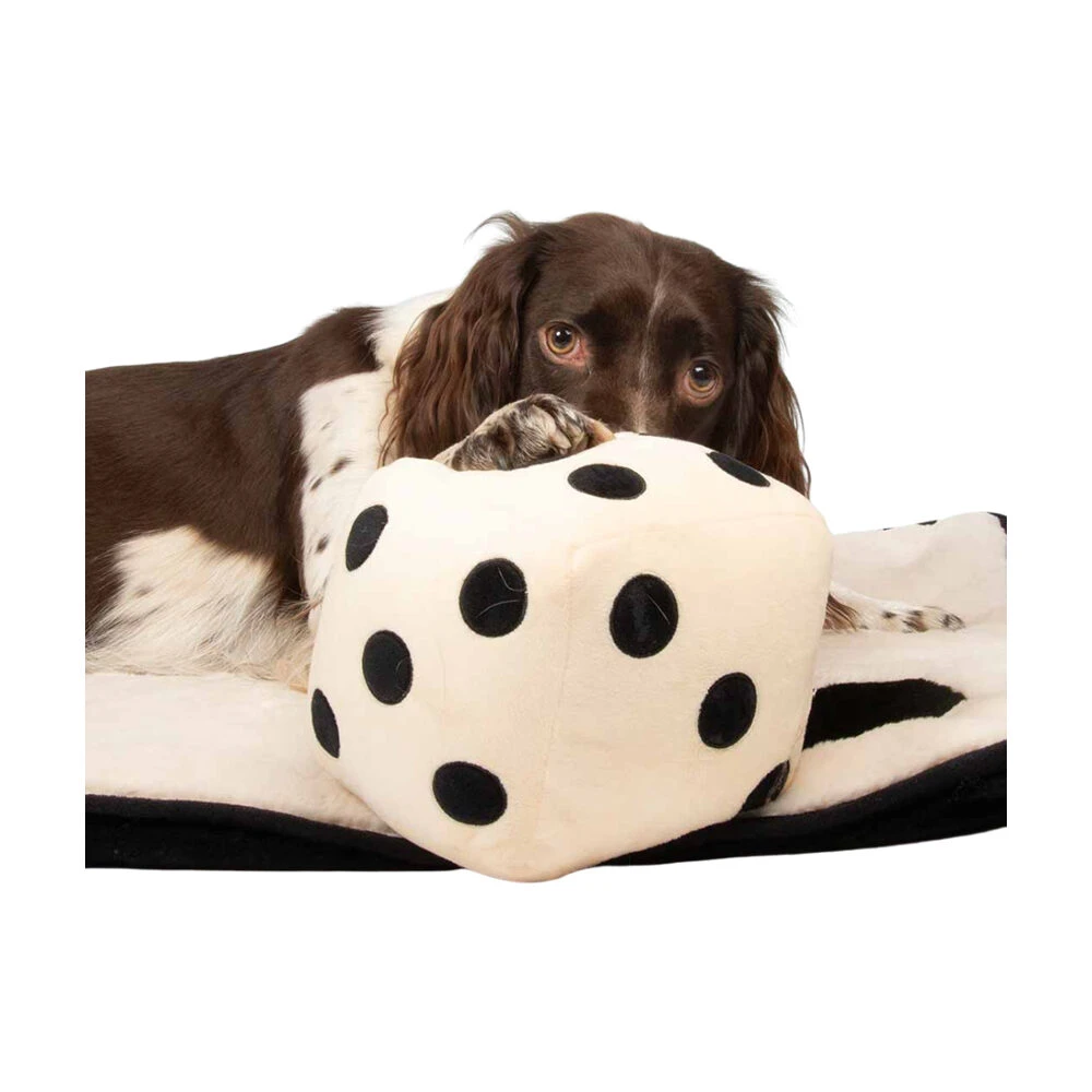 Coockoo Roll The Dice Hundespielzeug 2 Coockoo Roll The Dice Hundespielzeug – Bild 2