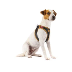 Curli Vegan Apple Leather Geschirr 9 Curli Vegan Apple Leather Geschirr -Myd Pet Geschaft curli harnas vegan appelleer 216631 0500 none