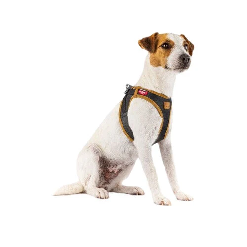 Curli Vegan Apple Leather Geschirr 4 Curli Vegan Apple Leather Geschirr – Bild 4