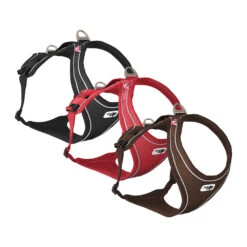 Curli Belka Comfort Harness -Myd Pet Geschaft curli belka comfort harness 136339 1000 none