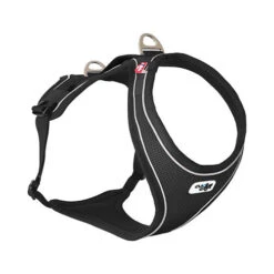 Curli Belka Comfort Harness -Myd Pet Geschaft curli belka comfort harness 136345 0500 none