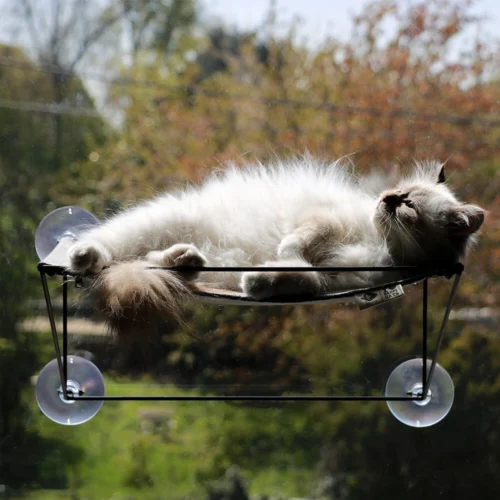 D&D Olivia Fensterhängematte -Myd Pet Geschaft dd olivia raamhangmat 227771 1000 none