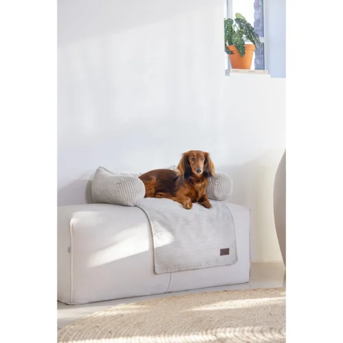 Designed By Lotte Bankkissen Ribbed -Myd Pet Geschaft designed by lotte bankkussen ribbed 222738 2000 none