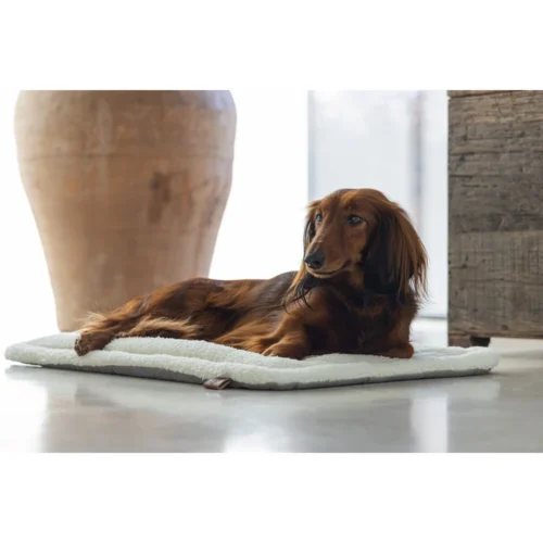 Designed By Lotte Gisel Hundekissen 10 Designed By Lotte Gisel Hundekissen -Myd Pet Geschaft designed by lotte benchkussen gisel 221516 1000 none