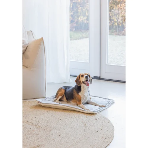 Designed By Lotte Gisel Hundekissen 9 Designed By Lotte Gisel Hundekissen -Myd Pet Geschaft designed by lotte benchkussen gisel 221517 1500 none