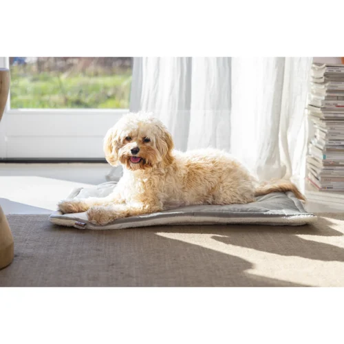 Designed By Lotte Gisel Hundekissen 8 Designed By Lotte Gisel Hundekissen -Myd Pet Geschaft designed by lotte benchkussen gisel 221518 1500 none