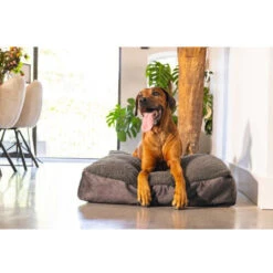 Designed By Lotte Hundekissen Yndis -Myd Pet Geschaft designed by lotte hondenkussen yndis 225633 0500 none