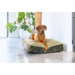 Designed By Lotte Hundekissen Yndis -Myd Pet Geschaft designed by lotte hondenkussen yndis 225637 0500 none