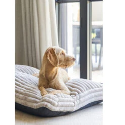 Designed By Lotte Liegekissen Reza -Myd Pet Geschaft designed by lotte ligkussen reza 226245 0500 none