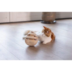 Designed By Lotte Neya Katzenspielzeug -Myd Pet Geschaft designed by lotte neya kattenspeelgoed 226299 0500 none