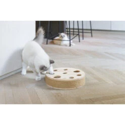 Designed By Lotte Raya Katzenspielzeug -Myd Pet Geschaft designed by lotte raya kattenspeelgoed 226302 0500 none