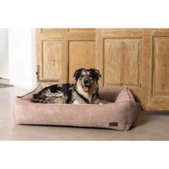 Designed By Lotte Ribbed Bed -Myd Pet Geschaft designed by lotte ribbed hondenmand roze 190386 2000 none