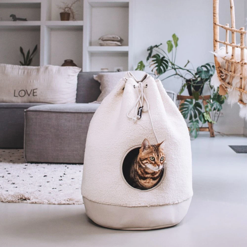 District 70 Casa Teddy Katzenhaus 2 District 70 Casa Teddy Katzenhaus – Bild 2