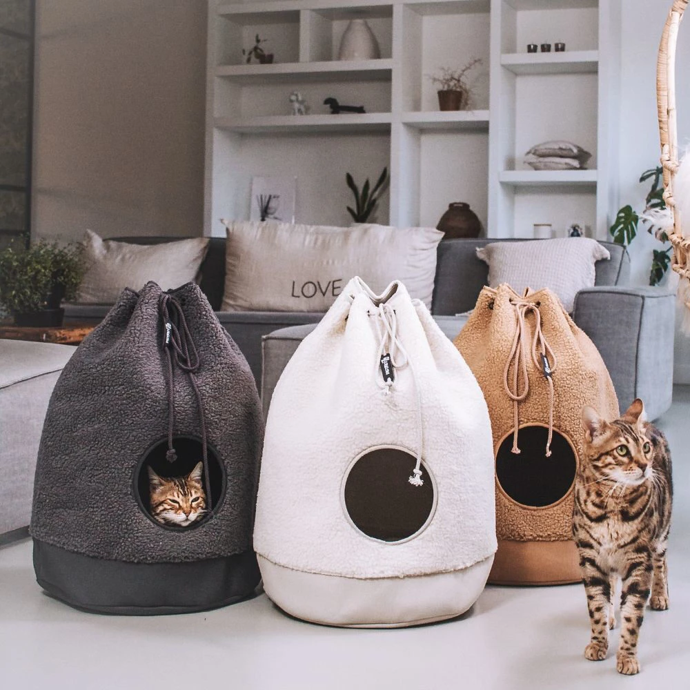 District 70 Casa Teddy Katzenhaus 4 District 70 Casa Teddy Katzenhaus – Bild 4