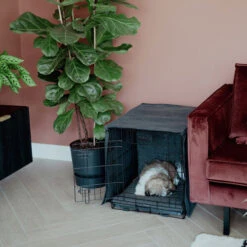 District 70 Crate Cover 15 District 70 Crate Cover -Myd Pet Geschaft district 70 crate cover 191152 0500 none