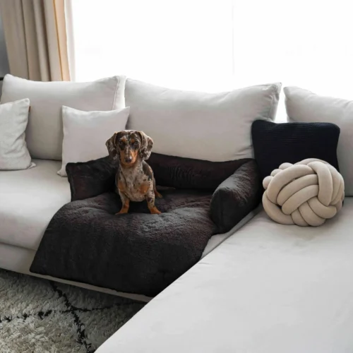 District 70 Nuzzle Schlafsofa 9 District 70 Nuzzle Schlafsofa -Myd Pet Geschaft district 70 nuzzle sofa bed 225004 2000 none