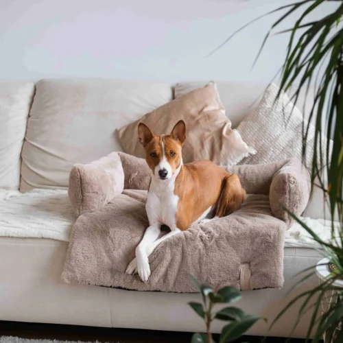 District 70 Nuzzle Schlafsofa 10 District 70 Nuzzle Schlafsofa -Myd Pet Geschaft district 70 nuzzle sofa bed 225006 2000 none