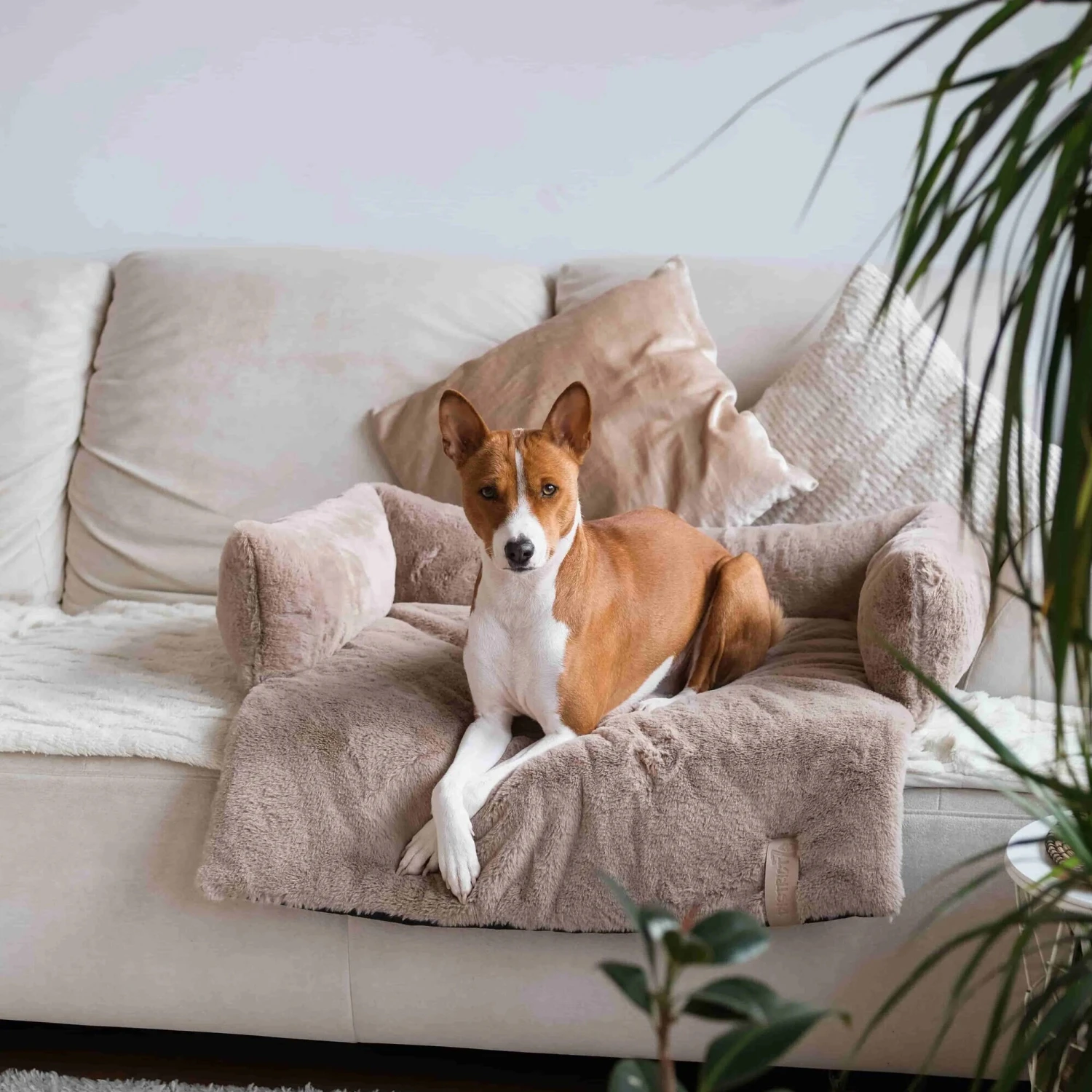 District 70 Nuzzle Schlafsofa 4 District 70 Nuzzle Schlafsofa – Bild 4