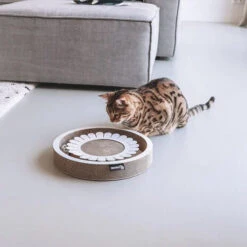 District 70 Bloom Kratzt Möbel -Myd Pet Geschaft district 70 voerbak bloom 226512 0500 none