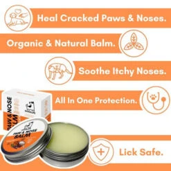Dogslife Pfoten- Und Nasenbalsam 8 Dogslife Pfoten- Und Nasenbalsam -Myd Pet Geschaft dogslife paw nose balm 219827 0500 none