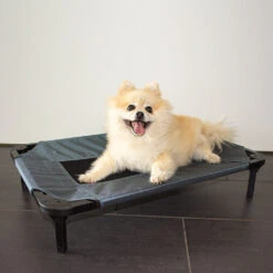 Duvo+ Hundeliege Relax 8 Duvo+ Hundeliege Relax -Myd Pet Geschaft duvo hondenstretcher relax 199796 1000 none