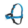 PetSafe Easywalk Trainigsgeschirr -Myd Pet Geschaft easywalk tuigje deluxe blauw m 50226 0500 none