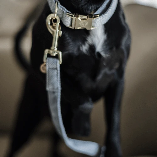 Kentucky Dogwear Hundeleine Wool 8 Kentucky Dogwear Hundeleine Wool – Bild 8