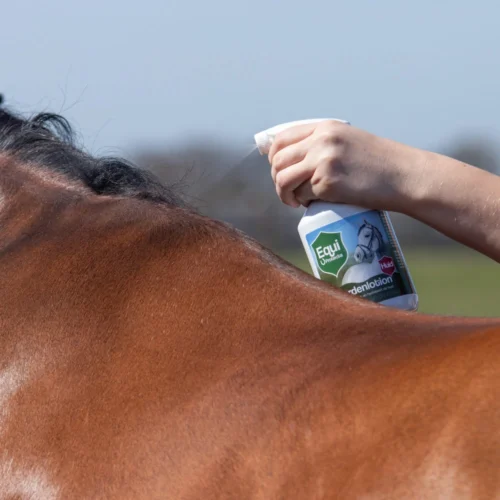 Equi Protecta Pferde-Lotion 6 Equi Protecta Pferde-Lotion -Myd Pet Geschaft equi protecta paardenlotion 161309 1000 none