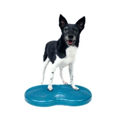FitPaws Duo Disc 3 FitPaws Duo Disc -Myd Pet Geschaft fitpaws duo disc 228740 2000 none