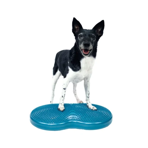 FitPaws Duo Disc -Myd Pet Geschaft fitpaws duo disc 228740 2000 none
