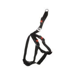 Flamingo Sicherheitsgeschirr Für Auto Duma -Myd Pet Geschaft flamingo autoveiligheidsharnas duma 229254 0500 none