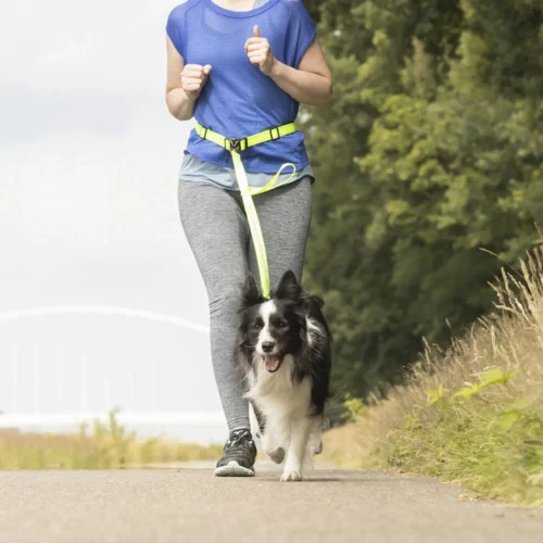 Flamingo Hüftgurt Mit Joggingleine -Myd Pet Geschaft flamingo heupriem met jogginglijn 229030 1000 none