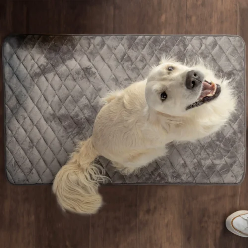 Flamingo Kissen Weimar 6 Flamingo Kissen Weimar -Myd Pet Geschaft flamingo kussen weimar 228872 1000 none