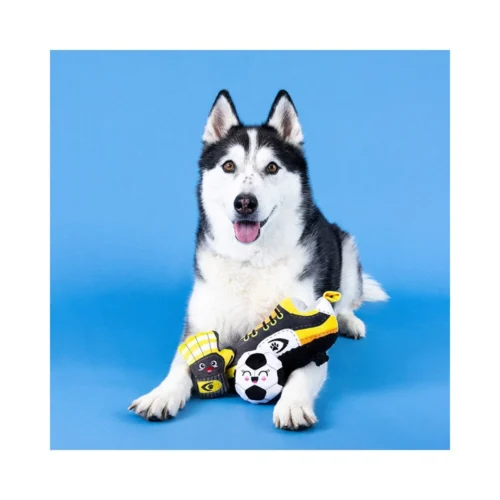 Fringe Goooooal-Set -Myd Pet Geschaft fringe goooooal set 230053 1000 none