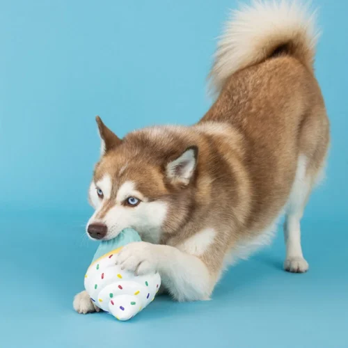 Fringe You Bake Me Crazy -Myd Pet Geschaft fringe you bake me crazy 230094 1000 none