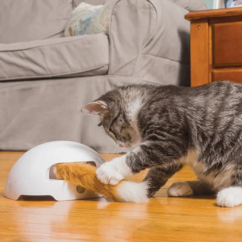 FroliCat Fox -Myd Pet Geschaft frolicat fox 136594 2000 none