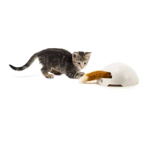 FroliCat Fox -Myd Pet Geschaft frolicat fox 136600 2000 none