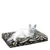 HD Catbed -Myd Pet Geschaft gFqR3L8w06vkelmZQwszPaJ27h61d0 metacHJvZHVjdF9oZF9jYXRiZWRfbWVkcGV0c180XzE0MjExNDcyNTdfOTMxOC5qcGc